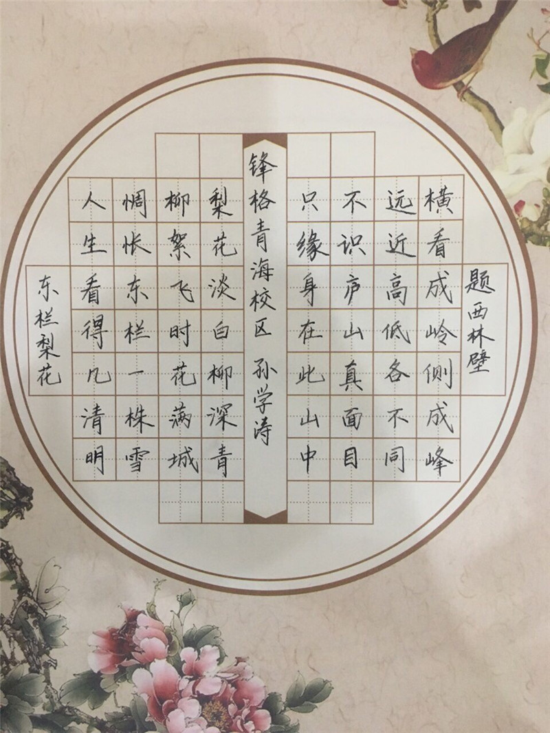 青海校區(qū)孫學(xué)濤作品展示——《題西林壁》