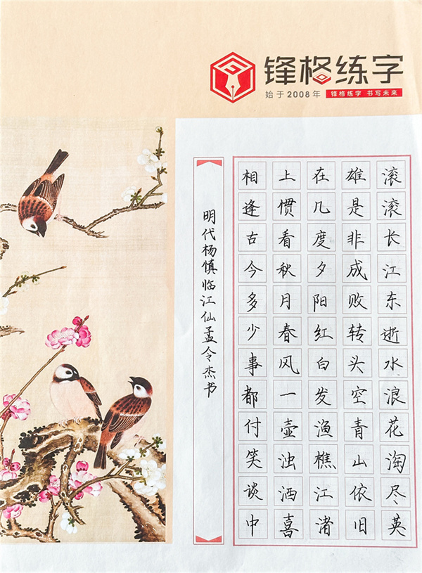 2023鋒格杯全國青少年硬筆書法大賽獲獎作品—《明代楊慎臨江仙孟令杰書》